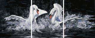 Set 3 picturi pe numere, cu sasiu, Dansul iubirii, 50x120 cm