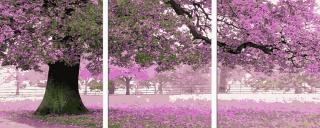 Set 3 picturi pe numere, cu sasiu, Noiembrie cald, 50x120 cm