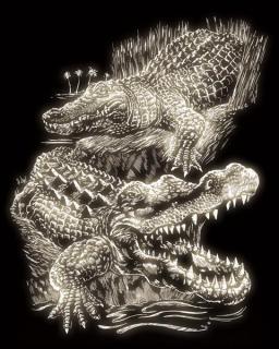 Set de gravura pe folie fosforescenta, Crocodili, A4