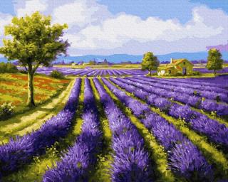 Set pictura pe numere, cu sasiu, Camp de lavanda, 40x50 cm