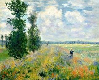 Set pictura pe numere, cu sasiu, Camp de maci - Monet, 40x50 cm