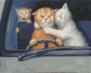 Set pictura pe numere, cu sasiu, Familie de pisici, 40x50 cm