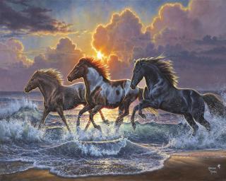 Set pictura pe numere, cu sasiu, Galop la mare, 40x50 cm