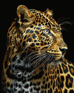 Set pictura pe numere, cu sasiu, Leopard auriu - canvas negru, 40x50 cm