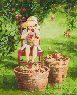Set pictura pe numere, cu sasiu, Mere - Ira Volkova, 40x50 cm