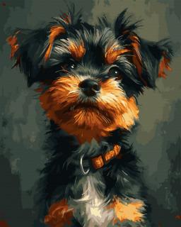 Set pictura pe numere, cu sasiu, Yorkshire Terrier, 40x50 cm