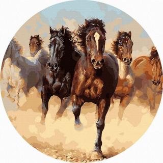 Set pictura pe numere rotunda, cu sasiu, Galop, O40cm