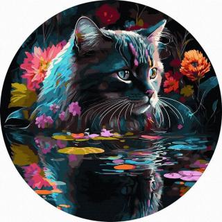 Set pictura pe numere rotunda, cu sasiu, Oglinda visului de pisica, O40cm