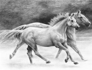 Set schita grafica, Galop, A4