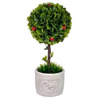 Ghiveci  crem cu planta Bonsai