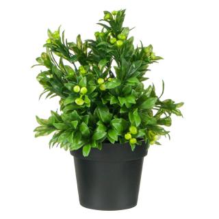 Ghiveci decorativ cu planta verde - 25cm