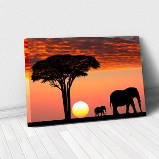 Tablou Canvas - African Sunset