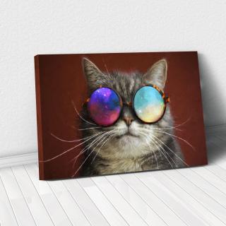 Tablou Canvas - Cool cat