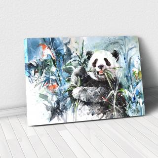 Tablou Canvas - Panda