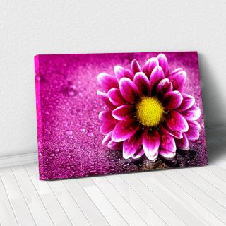 Tablou Canvas - Purple flower