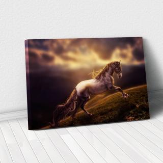 Tablou Canvas - Running horse