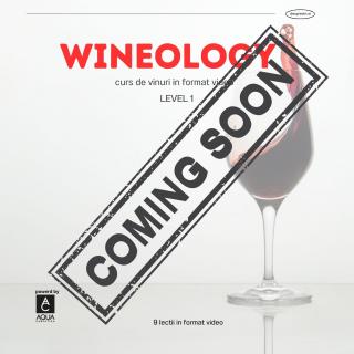 WINEOLOGY - Curs de vinuri in format video - LEVEL 1