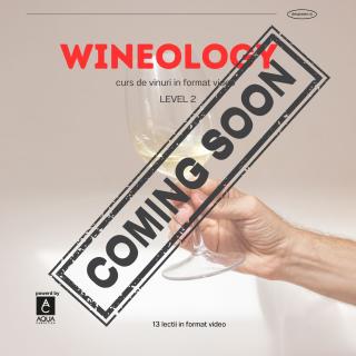 WINEOLOGY - Curs de vinuri in format video - LEVEL 2