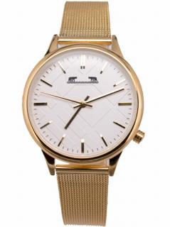 Ceas Dama Matteo Ferari Gold White Clasic II