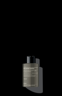 E6.02  Rebalancing Shampoo, sampon pentru par si scalp gras, 100ml