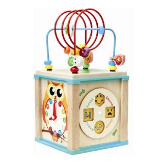 Joc Montessori Cub din lemn - 5 in 1