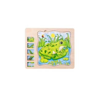 Joc Montessori din lemn - puzzle inteligent 5 in 1 broscuta