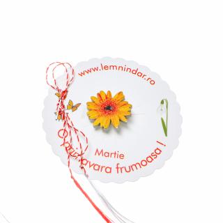 Martisor-brosa cu o margareta galbena