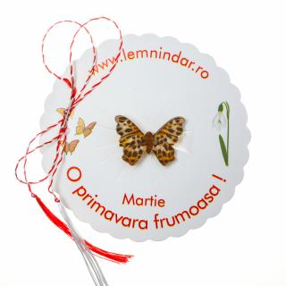 Martisor-brosa cu un fluturas model cu animal print