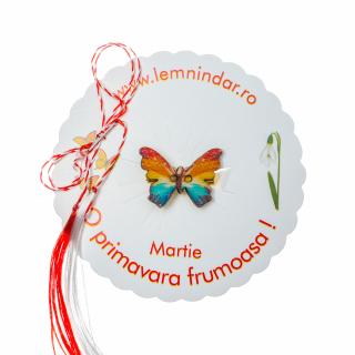 Martisor-brosa cu un fluturas model curcubeu