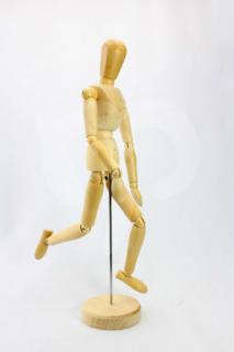 Model de lemn a corpului uman (Model de lemn a corpului uman)