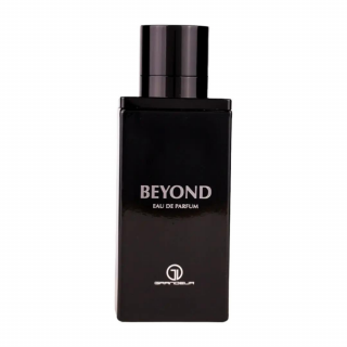 Beyond 100ml - Apa de Parfum, barbati