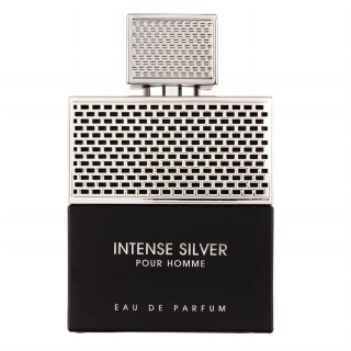 Intense Silver Pour Homme 100ml - Apa de Parfum, barbati