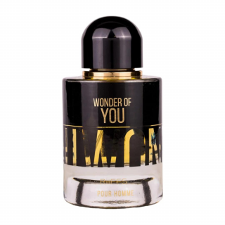 Wonder of You 100ml - Apa de Parfum, barbati