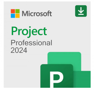 Microsoft Project Professional 2024 RETAIL - licenta electronica