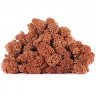 4 kg Lichen Stabilizat ,   Culoare Mango