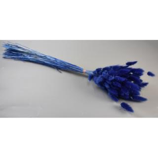 Lagurus Albastru 50g