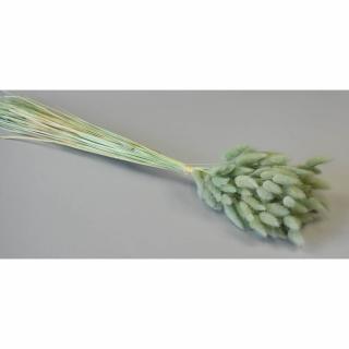 Lagurus Aqua 50g