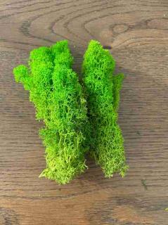 Lichen stabilizat Canopy-500 g