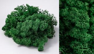 Lichen Stabilizat Verde Iarba 100 gr-4 kg