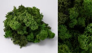 Lichen verde deschis 100g-4kg