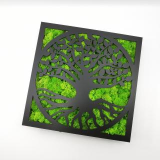 Rama-cutiuta cu licheni -Copacul vietii