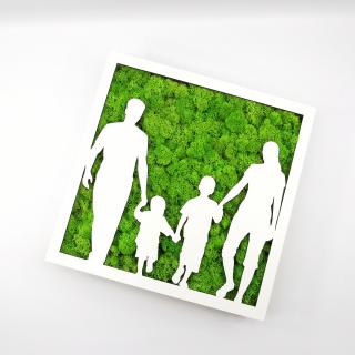 Rama-cutiuta cu licheni -Family