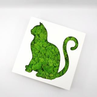 Rama-cutiuta cu licheni -Pisica