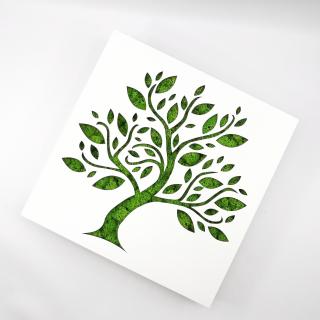 Rama-cutiuta cu licheni - Tree