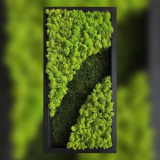 Tablou cu licheni si muschi plat - 50x25cm
