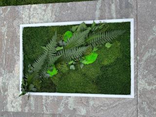 Tablou decorativ cu muschi si plante stabilizate - 100x40 cm