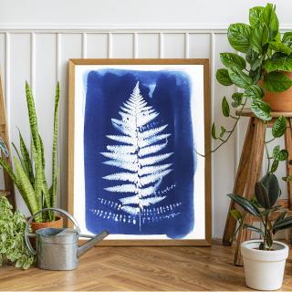 Cyanotype art, Dancing Fern