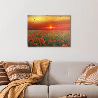 Tablou iluminat 1 led cu timer - 30x40cm - print digital pe canvas - camp de maci