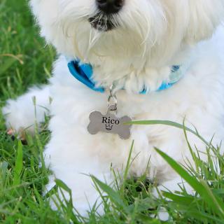 Dog tag personalizat, medalion pentru catei in forma de os, gravat cu nume si simbol
