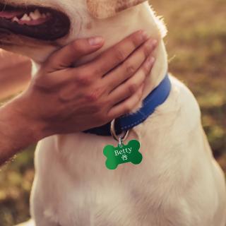 Dog tag personalizat verde, medalion pentru catei in forma de os, gravat cu nume si simbol